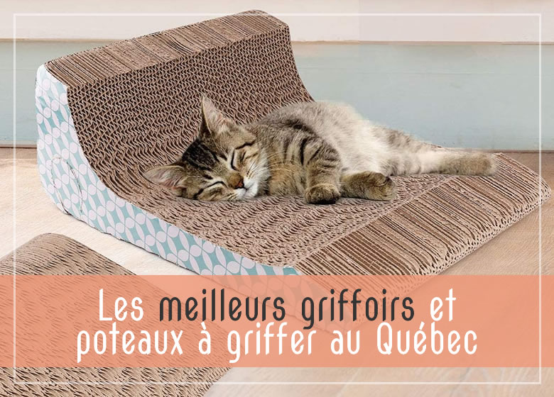 Meilleurs Griffoirs Et Poteaux A Griffer Pour Chat Au Quebec Canada 22 Monchat Ca